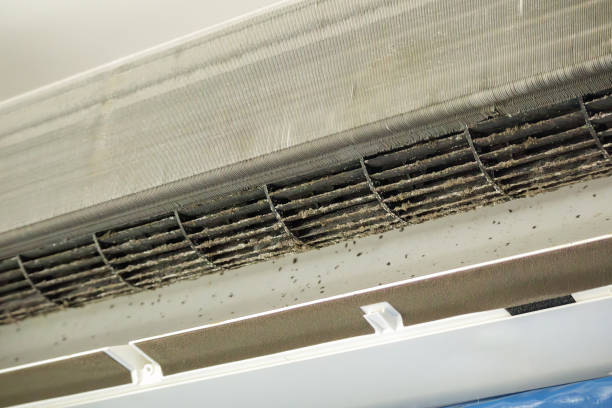 Best Home Air Vent Cleaning  in Bayfield, CO
