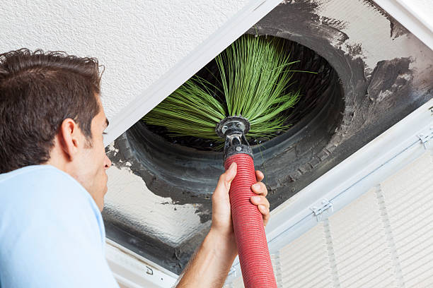 Best Air Duct Cleaning Near Me  in Bayfield, CO